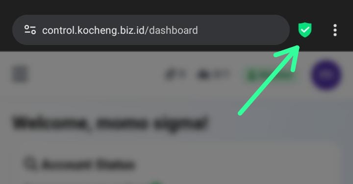 Step 1: Open browser extensions
